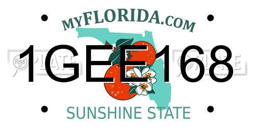 1GEE168 Florida License Plate