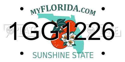 1GG1226 Florida License Plate