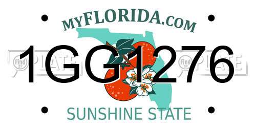 1GG1276 Florida License Plate