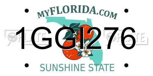 1GGI276 Florida License Plate