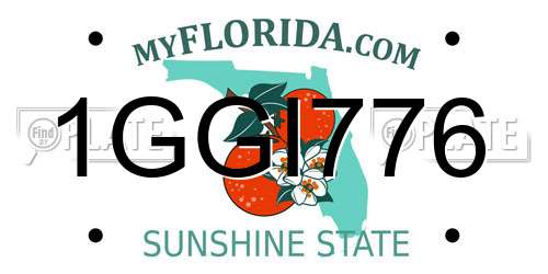 1GGI776 Florida License Plate