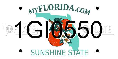 1GI0550 Florida License Plate