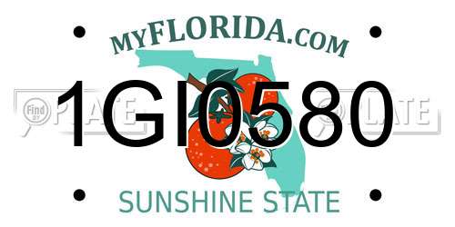 1GI0580 Florida License Plate