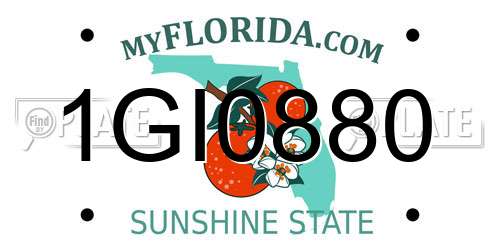 1GI0880 Florida License Plate