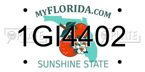 1GI4402 Florida License Plate