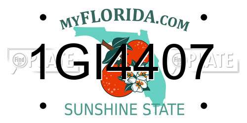 1GI4407 Florida License Plate