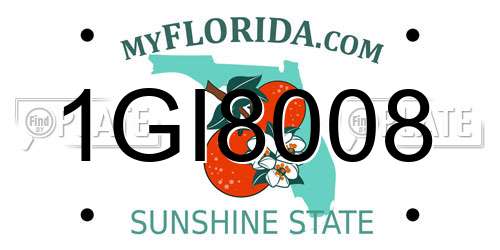 1GI8008 Florida License Plate