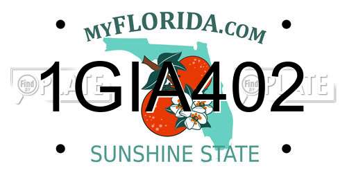 1GIA402 Florida License Plate