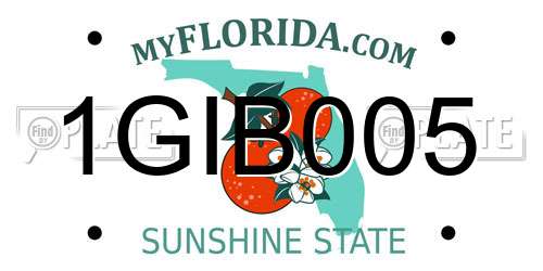 1GIB005 Florida License Plate