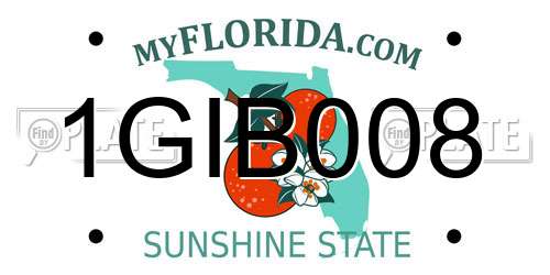 1GIB008 Florida License Plate