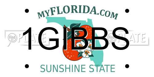 1GIBBS Florida License Plate