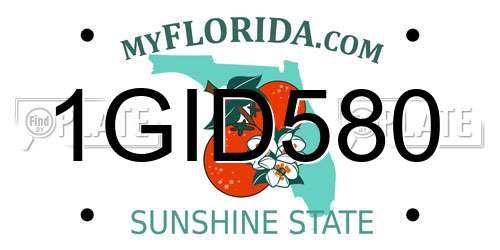 1GID580 Florida License Plate