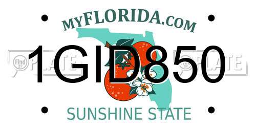 1GID850 Florida License Plate