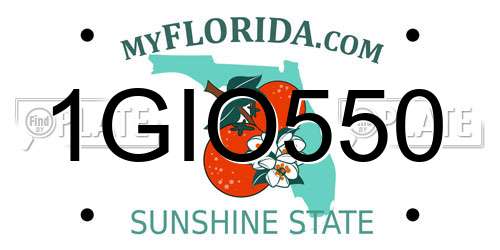 1GIO550 Florida License Plate