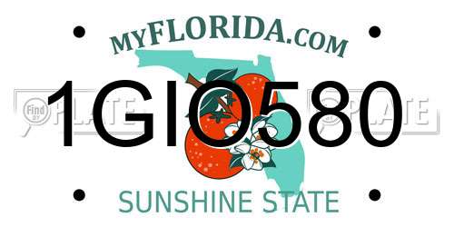 1GIO580 Florida License Plate