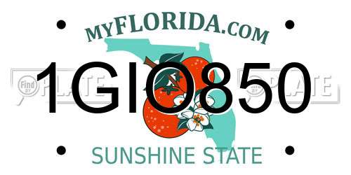 1GIO850 Florida License Plate