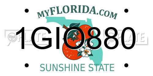 1GIO880 Florida License Plate