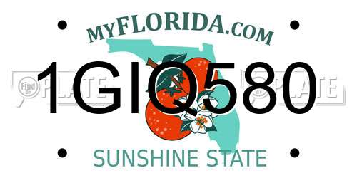 1GIQ580 Florida License Plate