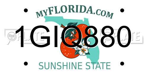 1GIQ880 Florida License Plate