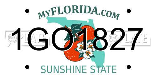 1GO1827 Florida License Plate