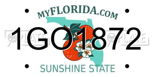 1GO1872 Florida License Plate