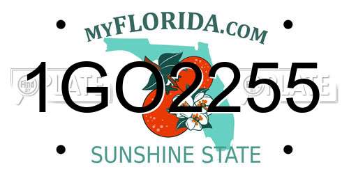 1GO2255 Florida License Plate