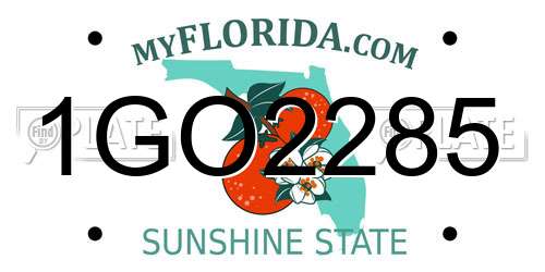 1GO2285 Florida License Plate