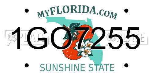 1GO7255 Florida License Plate