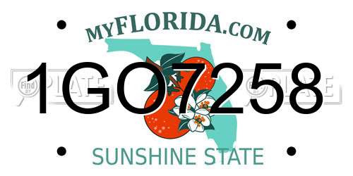 1GO7258 Florida License Plate