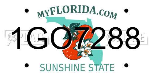 1GO7288 Florida License Plate