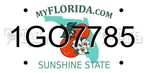 1GO7785 Florida License Plate