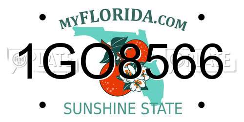 1GO8566 Florida License Plate