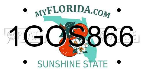 1GOS866 Florida License Plate
