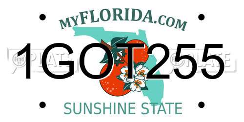 1GOT255 Florida License Plate