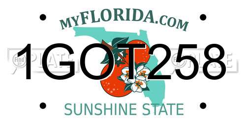 1GOT258 Florida License Plate