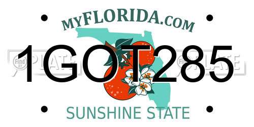 1GOT285 Florida License Plate
