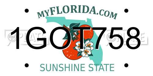 1GOT758 Florida License Plate