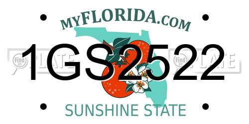 1GS2522 Florida License Plate