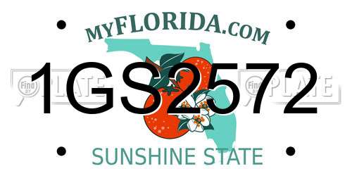 1GS2572 Florida License Plate