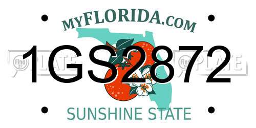 1GS2872 Florida License Plate