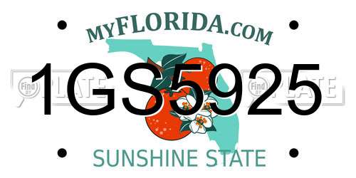 1GS5925 Florida License Plate