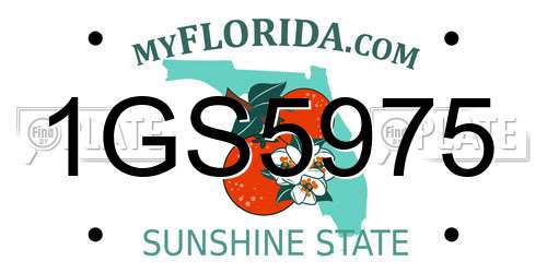 1GS5975 Florida License Plate