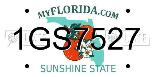 1GS7527 Florida License Plate