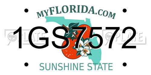 1GS7572 Florida License Plate