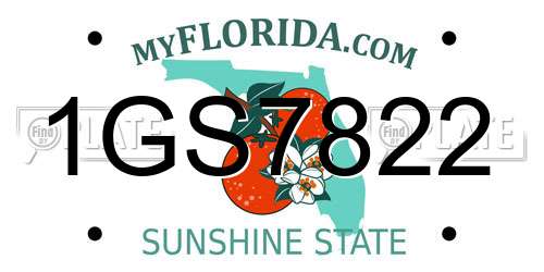 1GS7822 Florida License Plate