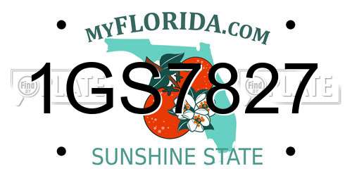 1GS7827 Florida License Plate