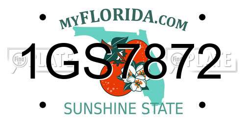1GS7872 Florida License Plate