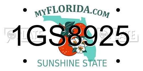 1GS8925 Florida License Plate