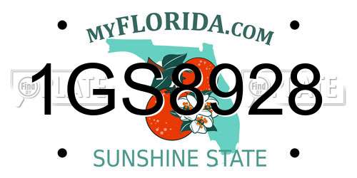 1GS8928 Florida License Plate