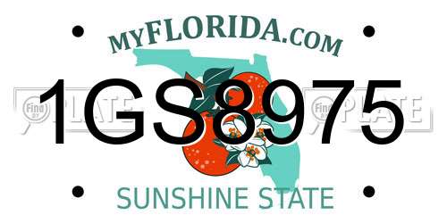 1GS8975 Florida License Plate